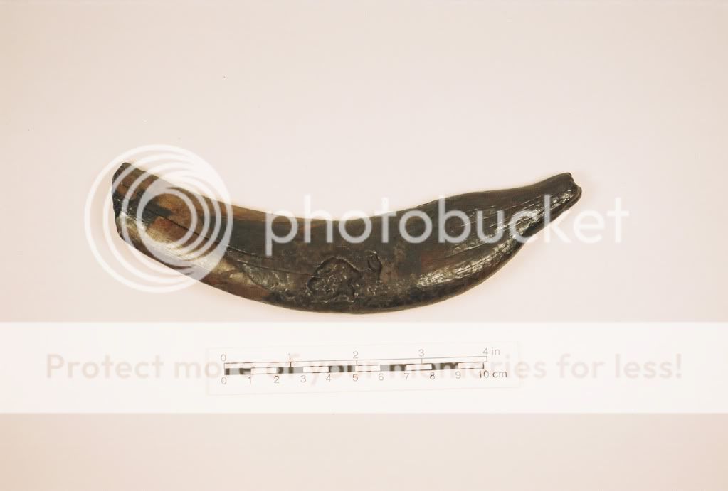 MUSEUMANDMYCOLLECTION228.jpg
