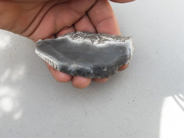 SDC11370.jpg