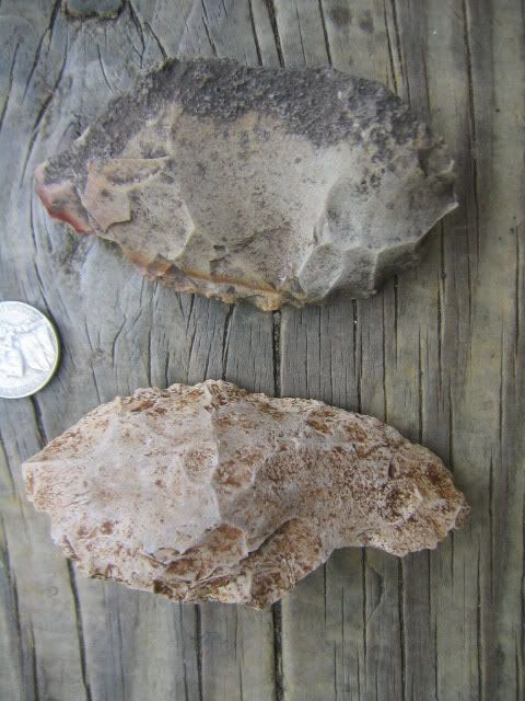 IMG_4168.jpg