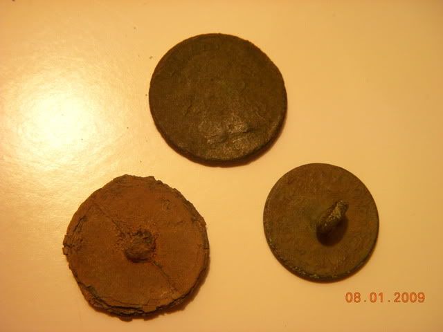 DSCN3715.jpg