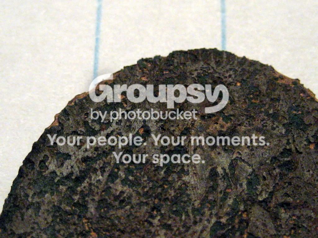 IMG_4189.jpg