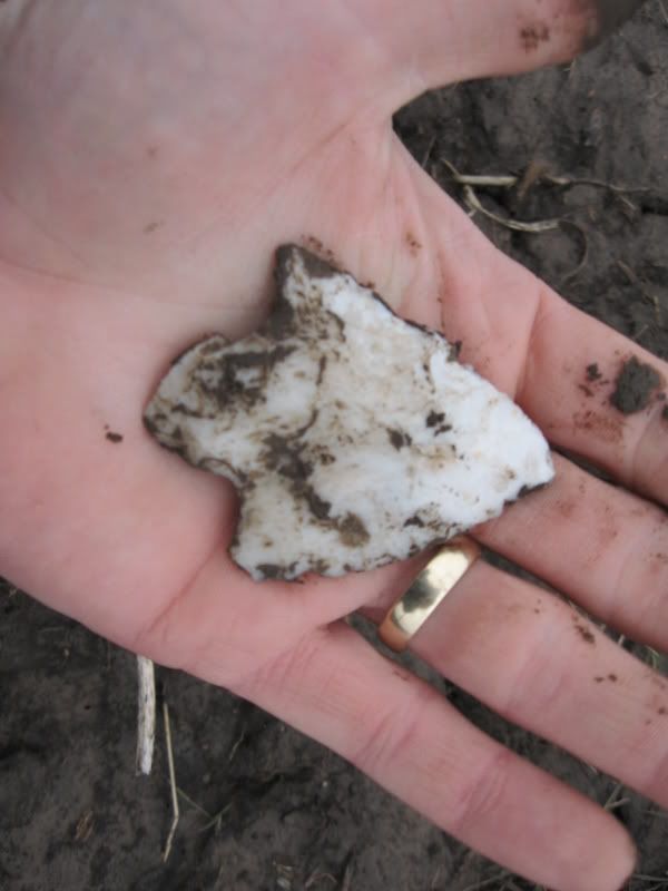 02-27-2009fieldhunt005.jpg