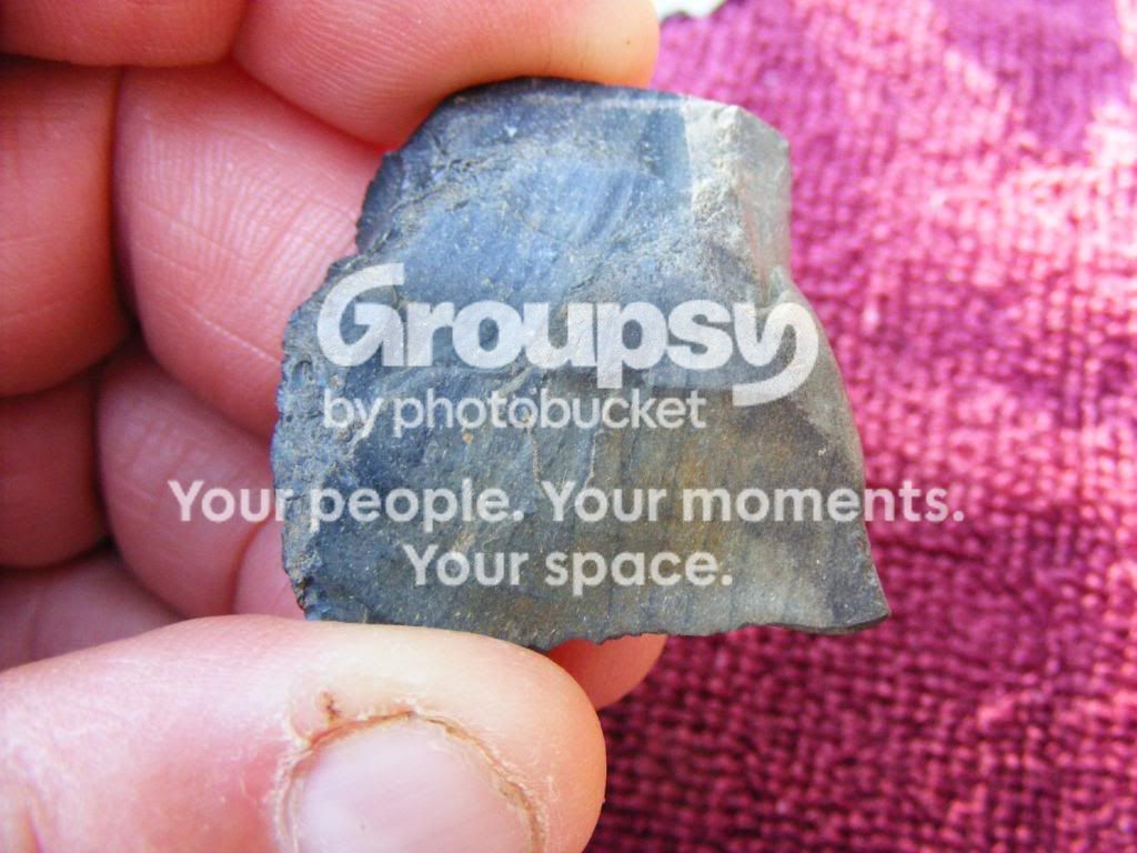 2009_0805button0013.jpg
