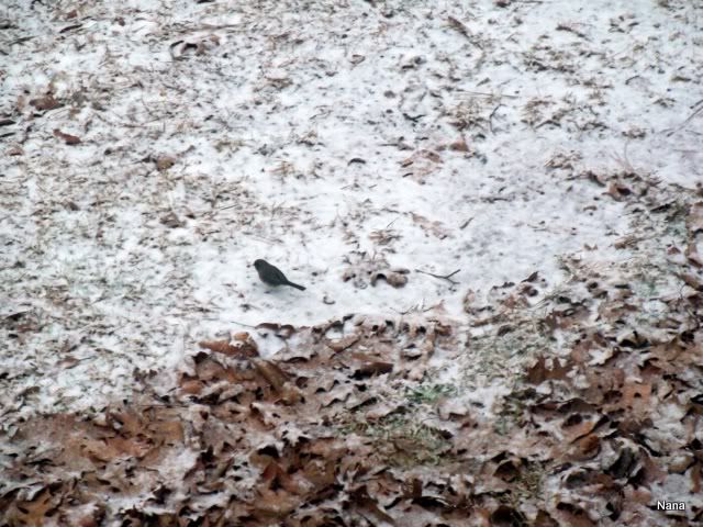 100_0159.jpg