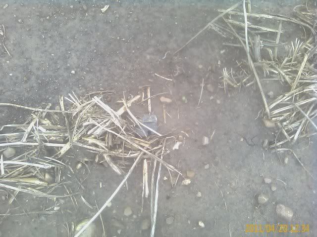 IMAGE_332.jpg
