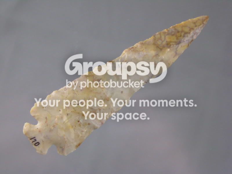 IMG_1754.jpg