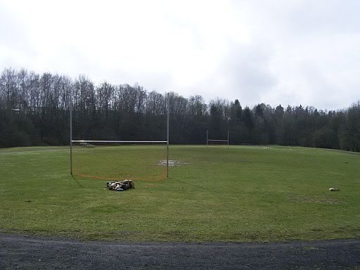 16Mar08ffield.jpg