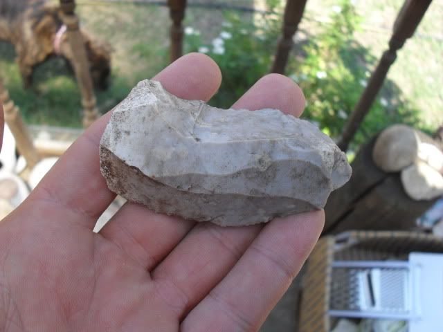 SDC10524.jpg