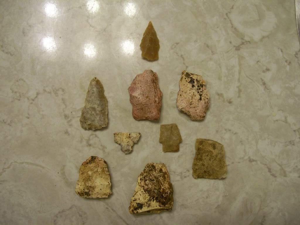 100_3371.jpg