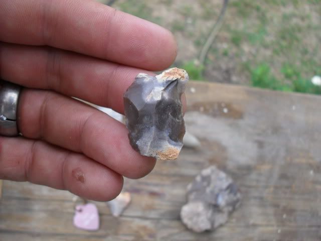 SDC17319.jpg