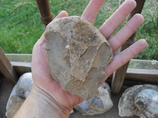 SDC10673.jpg