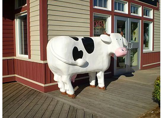 cow.jpg