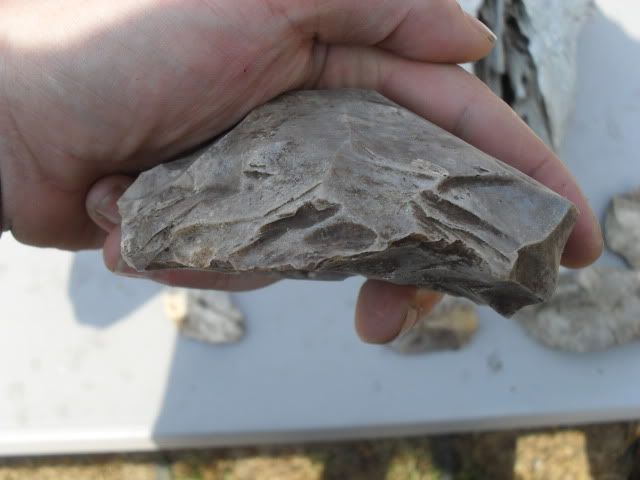 SDC10567.jpg