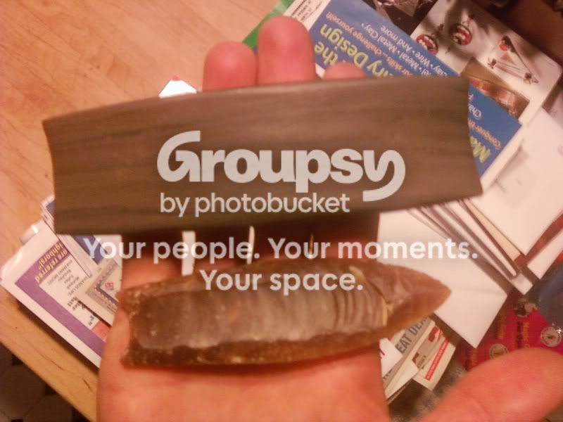img1276363941618.jpg