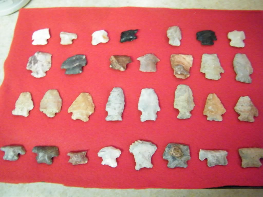DSCF2694.jpg