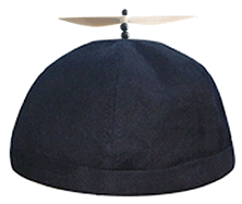 boarderbeanie.gif