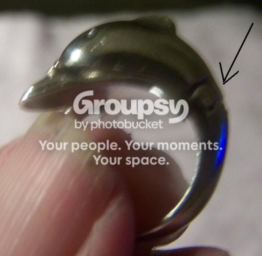 RingDolphin0529092.jpg