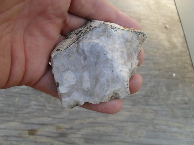 SDC10480.jpg