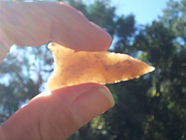 100_3108-1.jpg