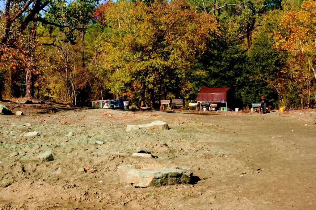 mine_field8.jpg