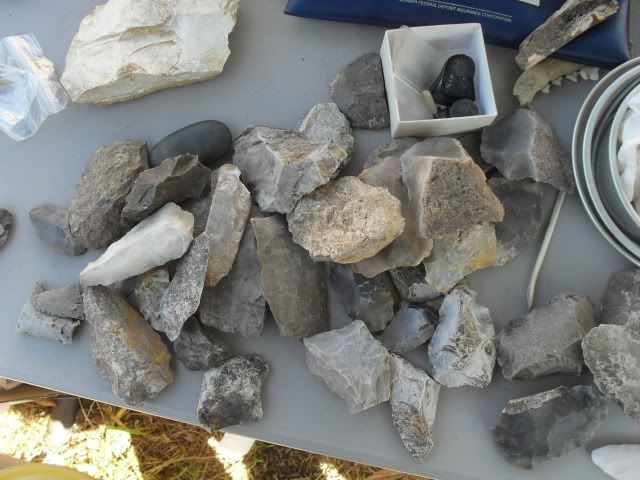 SDC10994.jpg