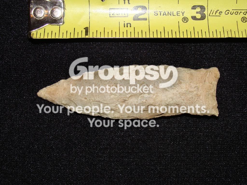 DSC00215.jpg