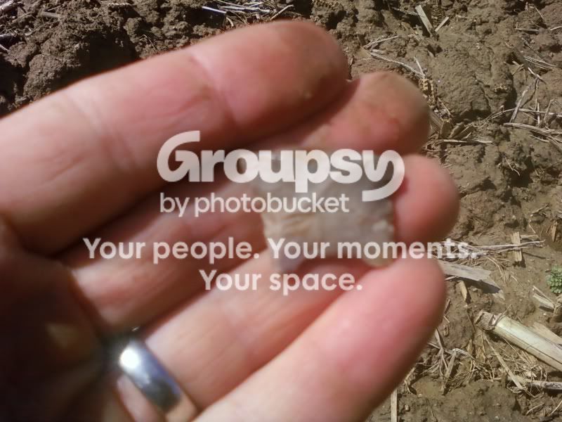 img1269696548908.jpg
