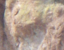 100_0749priestcrop.png