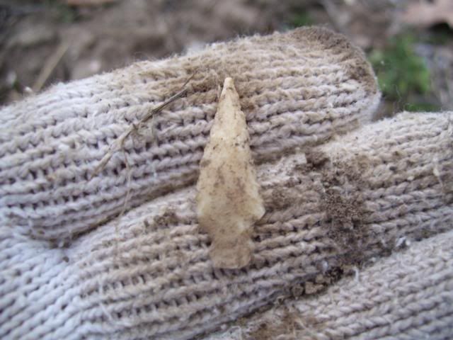 100_1091.jpg