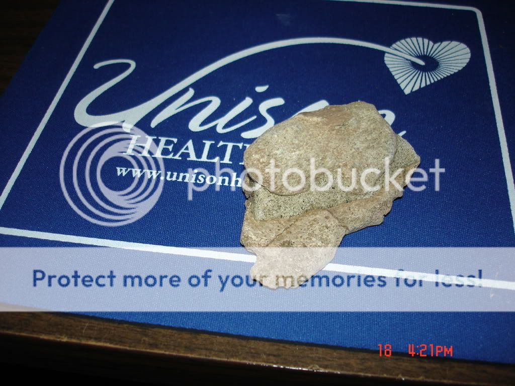 DSC00655.jpg
