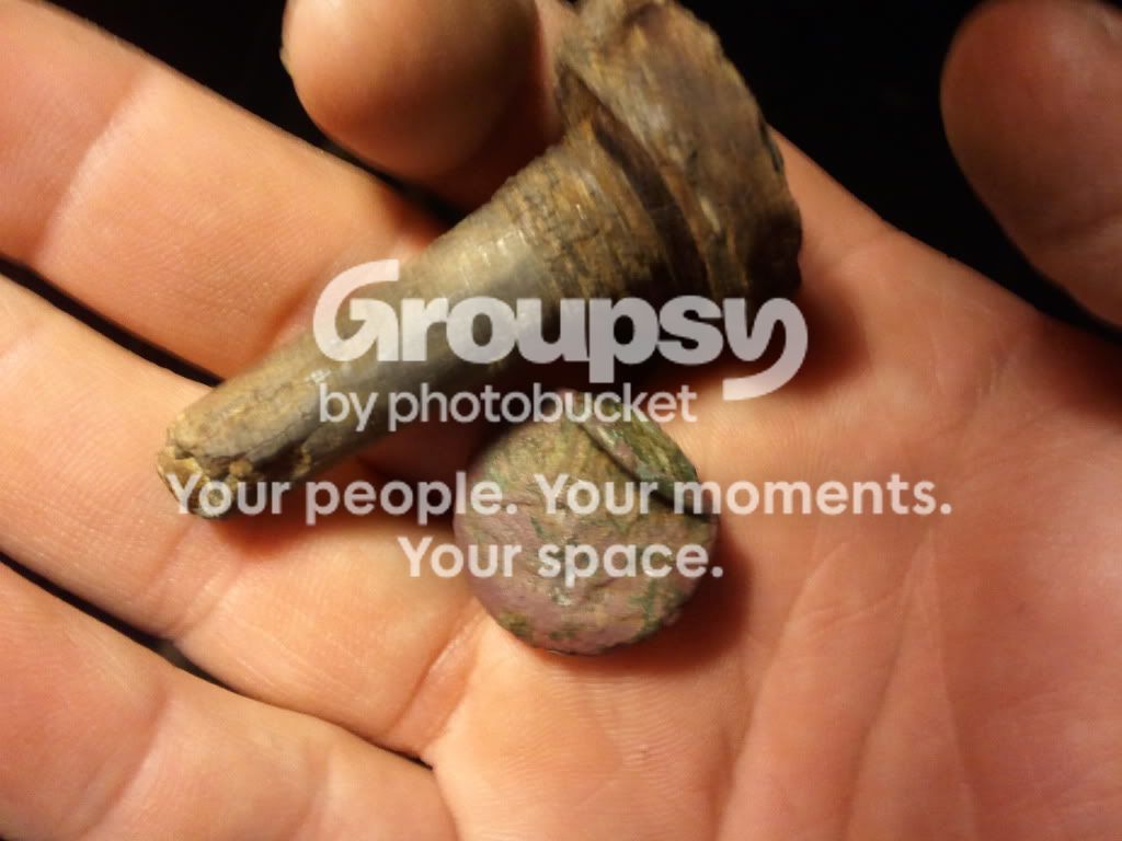 2011-01-29211907.jpg