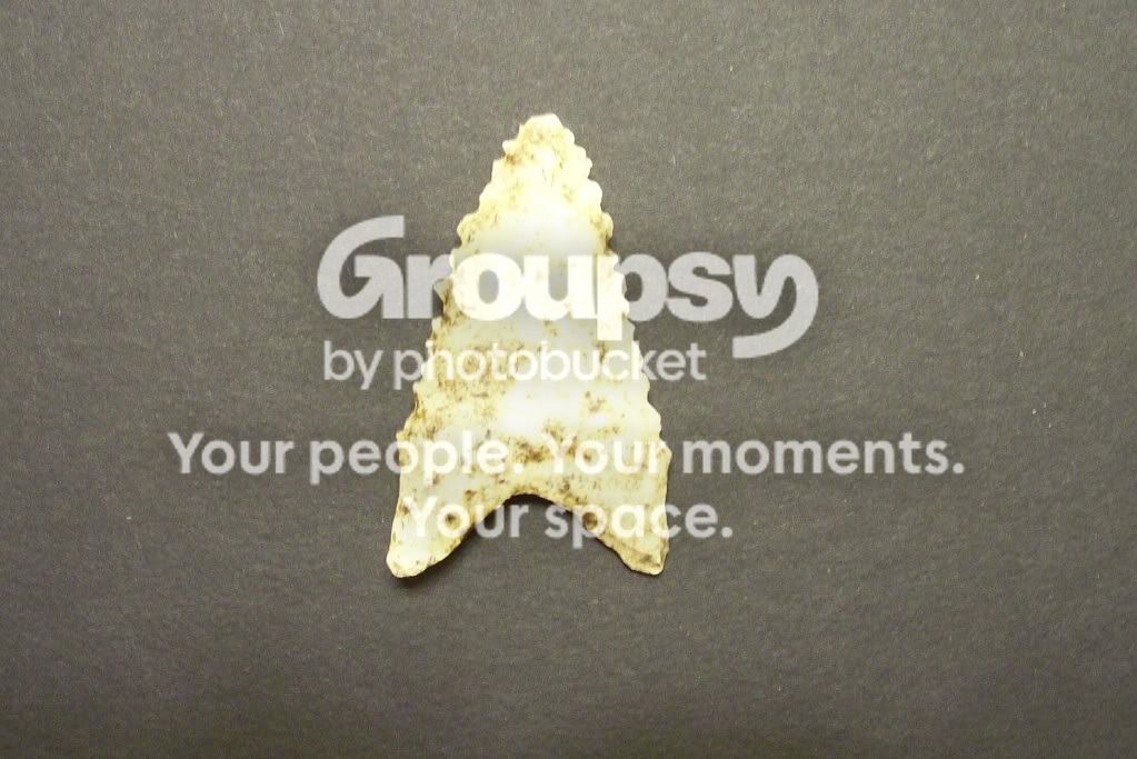 100_3540.jpg