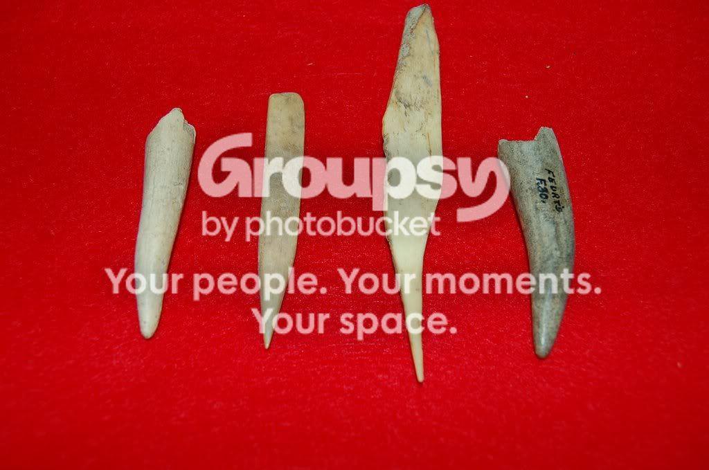 FeurtSiteFinds267.jpg