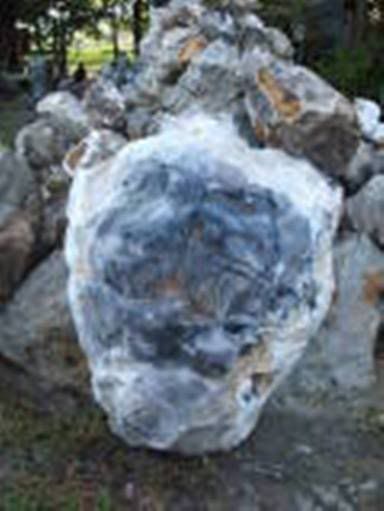 thDSCF2724-1.jpg
