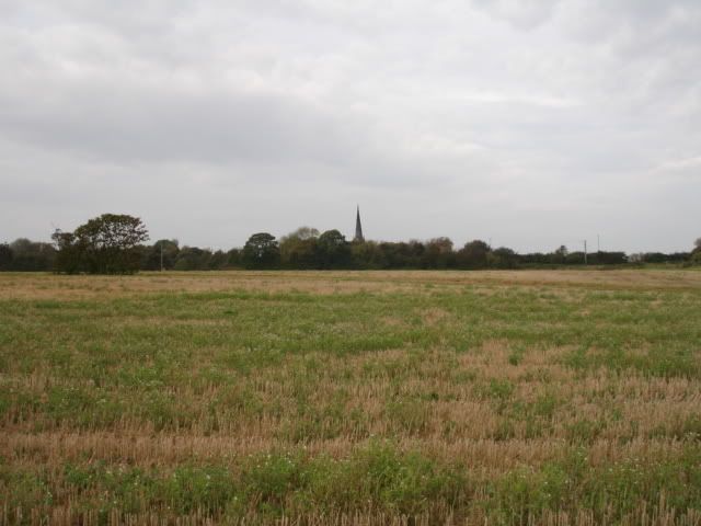 fields002.jpg