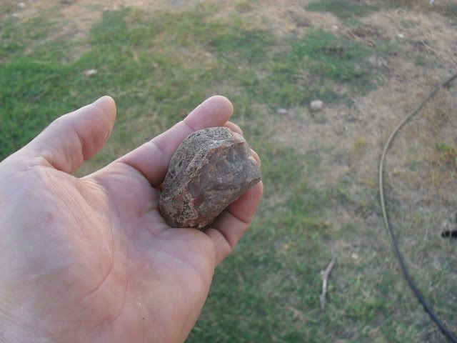 SDC10680.jpg
