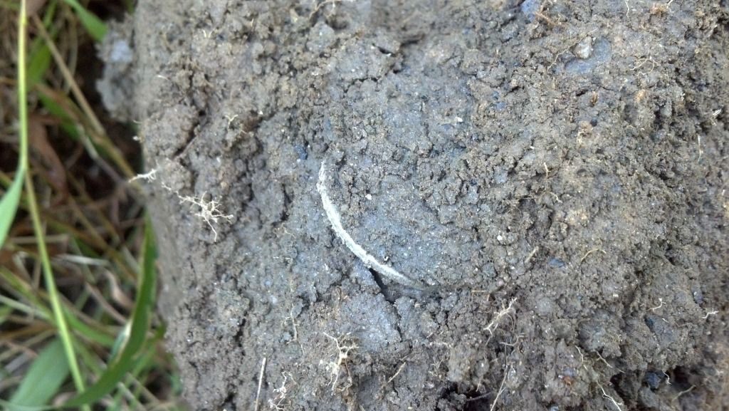 2012-09-23_16-19-56_82_zpsda94b516.jpg