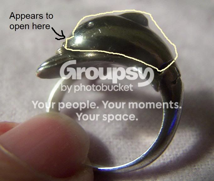 RingDolphin0529093a.jpg