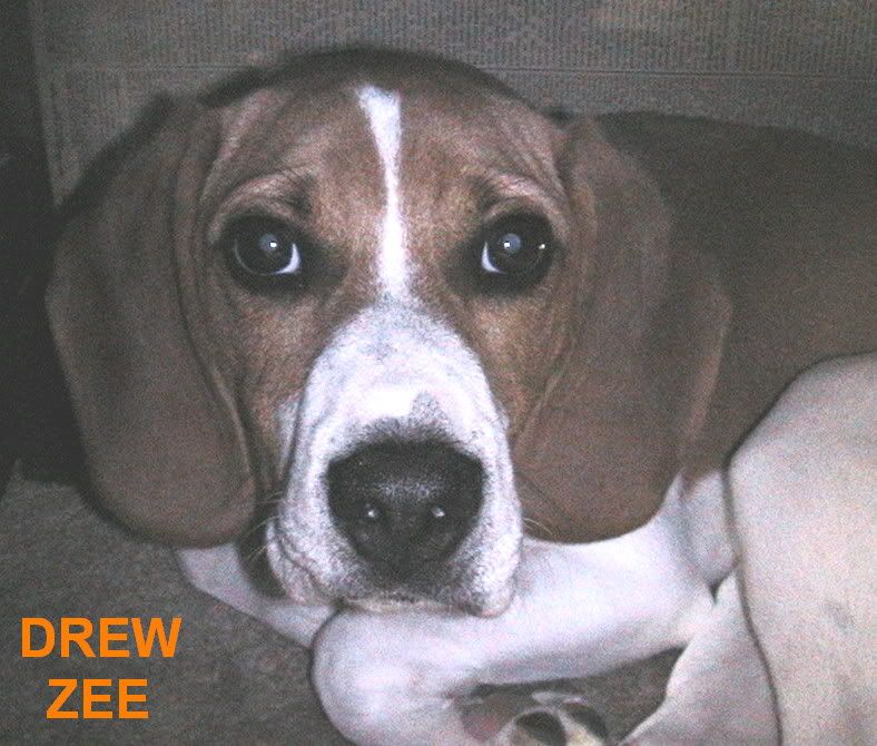DREWZEE-1.jpg