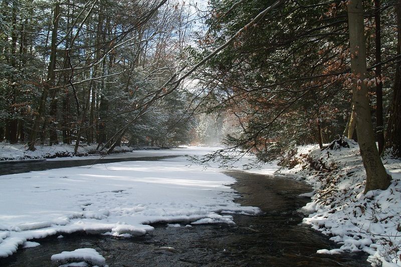 minersvillesweetarrowlocustlake2013133.jpg