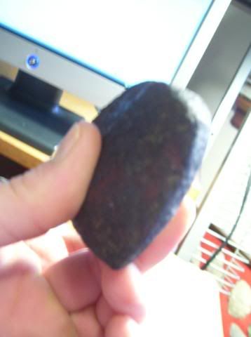 100_1252.jpg