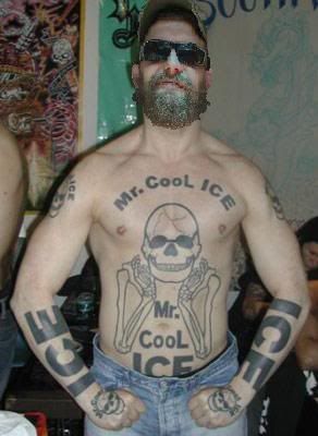 mrcool_ice.jpg