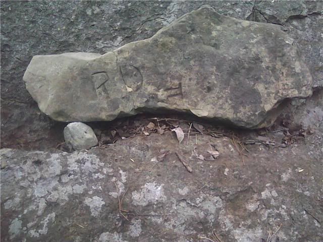 Daltonrock.jpg