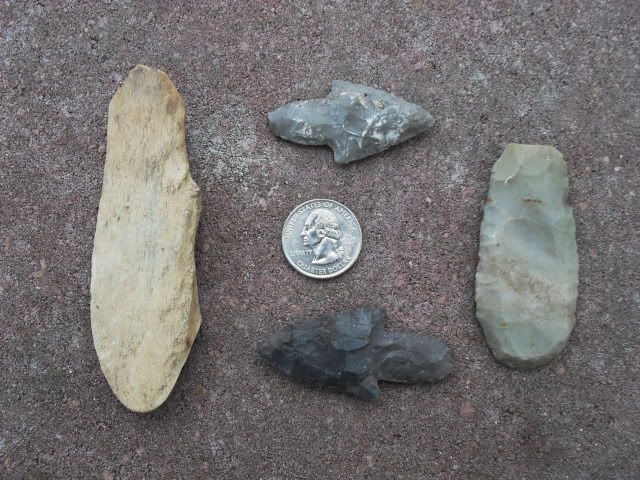 SDC11399.jpg