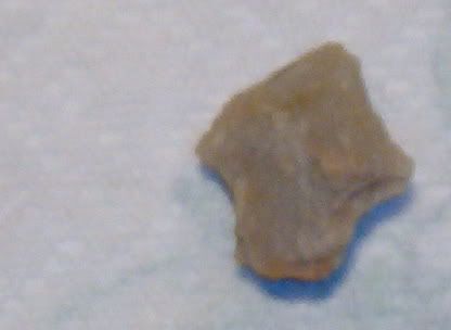 JAN182007019.jpg