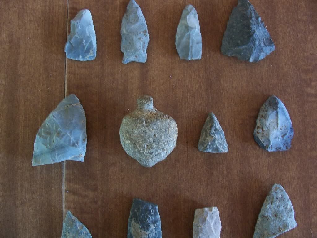 pic1.jpg