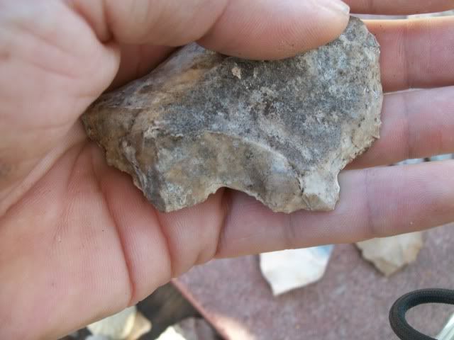 100_0533.jpg