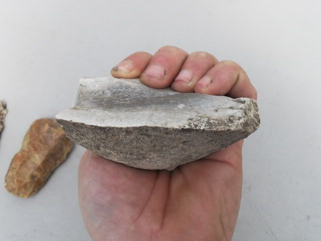 SDC11382.jpg