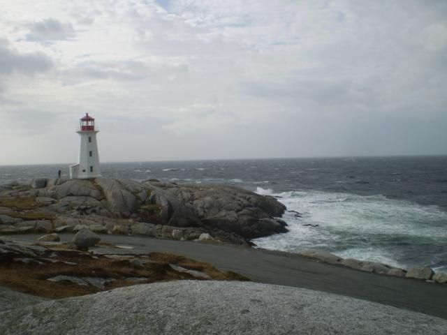PB170003.jpg