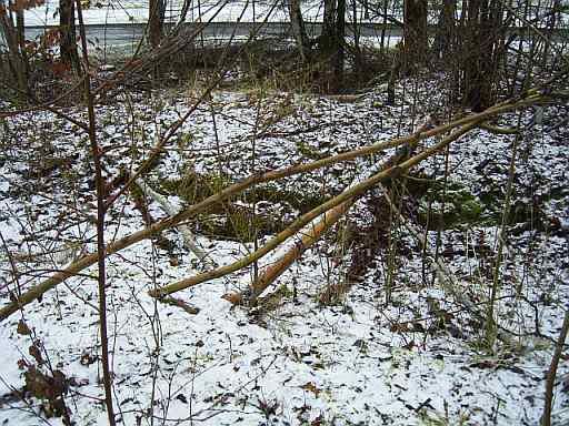 21Jan09FoundBack.jpg
